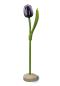Preview: Wooden tulip in a wooden base, to stand, 34cm high, made in Holland, color: Aubergine/White